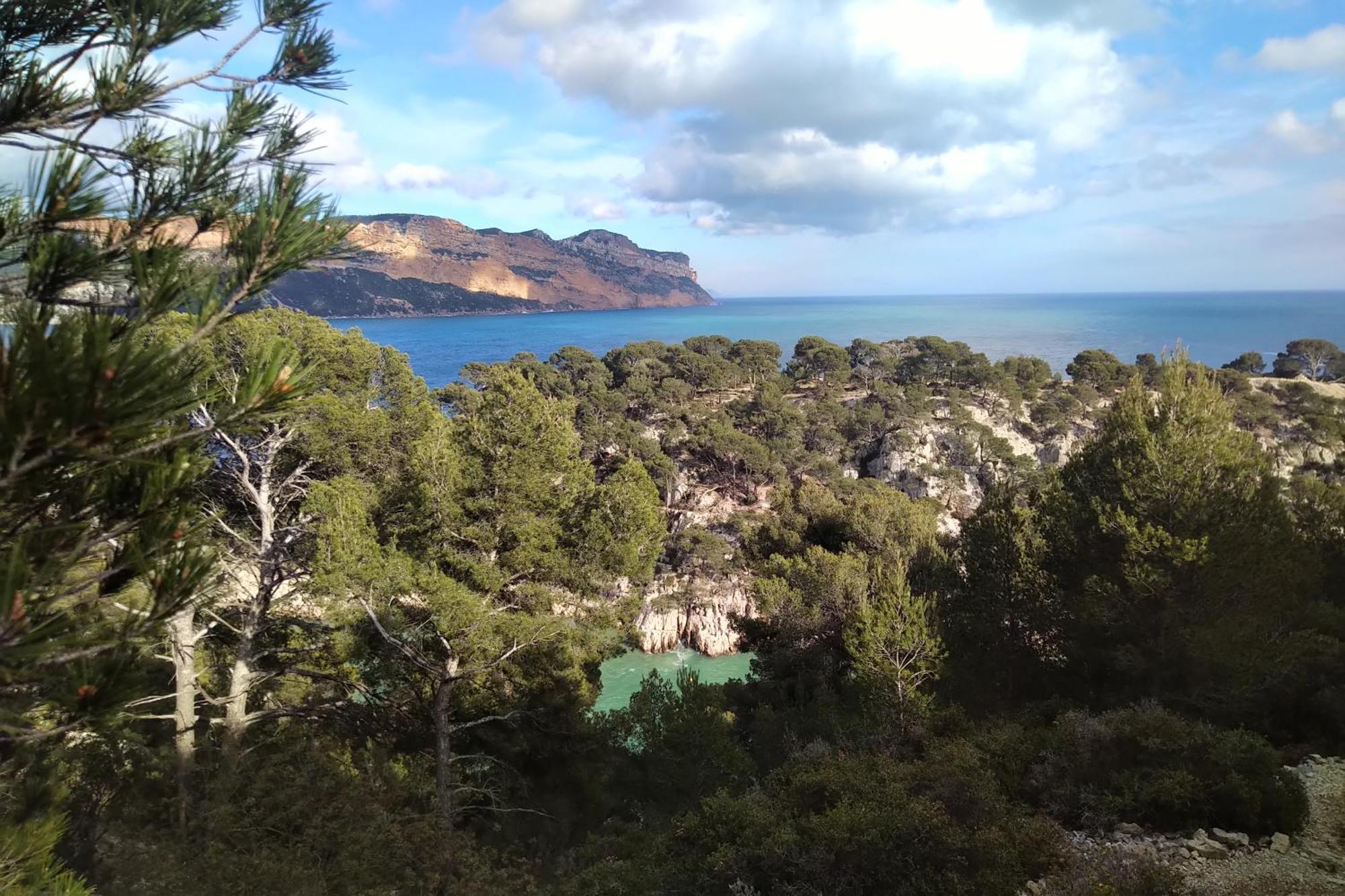 Aquarius In Cassis, Chambres D'Hotes المظهر الخارجي الصورة